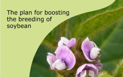 The plan for boosting the breeding of soybean