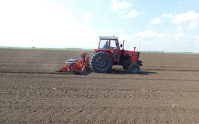 Cultivation practices in soybean production at a glance