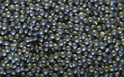 Informare pentru leguminoase – ZDF hub