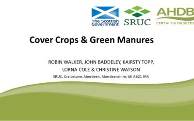 Field trials on N-fixing cover crops & green manures in Scotland