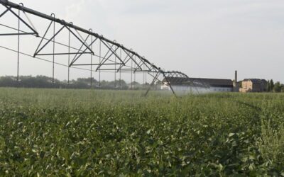 Water use and irrigation in soybean