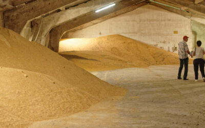 Cold-pressed soybean for poultry