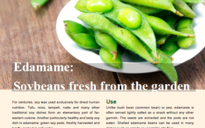 Edamame: Soybeans fresh from the garden