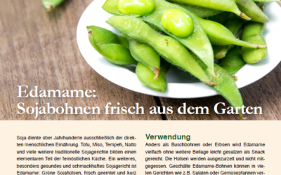 Edamame:  Sojabohnen frisch aus dem Garten