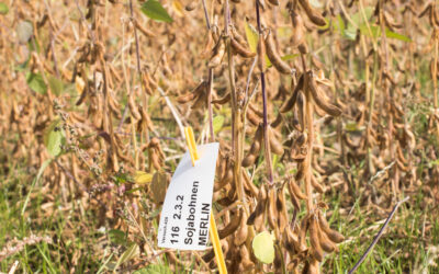 Agro-economic prospects for expanding soybean production beyond its current northerly limit in Europe