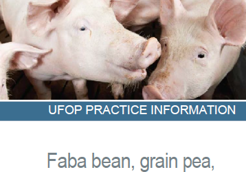 Faba bean, grain pea, sweet lupin and soybean for pig feeding