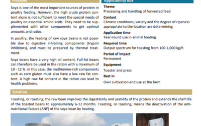 Recommendations for using soy-based feedstuffs for poultry production