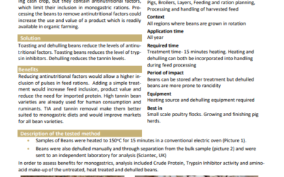 Heat treatment and dehulling effects on feed value of faba beans