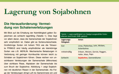 Lagerung von Sojabohnen