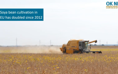 Detecting heat damages in processed soya bean with NIR