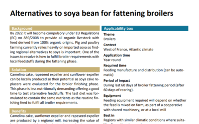 Alternatives to soya bean for fattening broilers