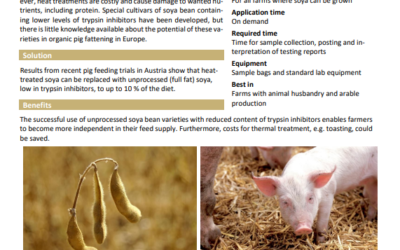 Unprocessed soya beans low in trypsin inhibitors in organic pig fattening diets