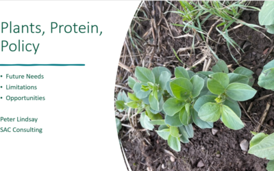 Plants, protein, policy