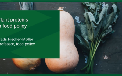 Plant proteins in food policy
