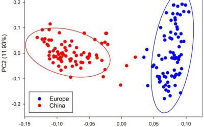 Genetic diversity in early maturity Chinese and European elite soybeans: A comparative analysis