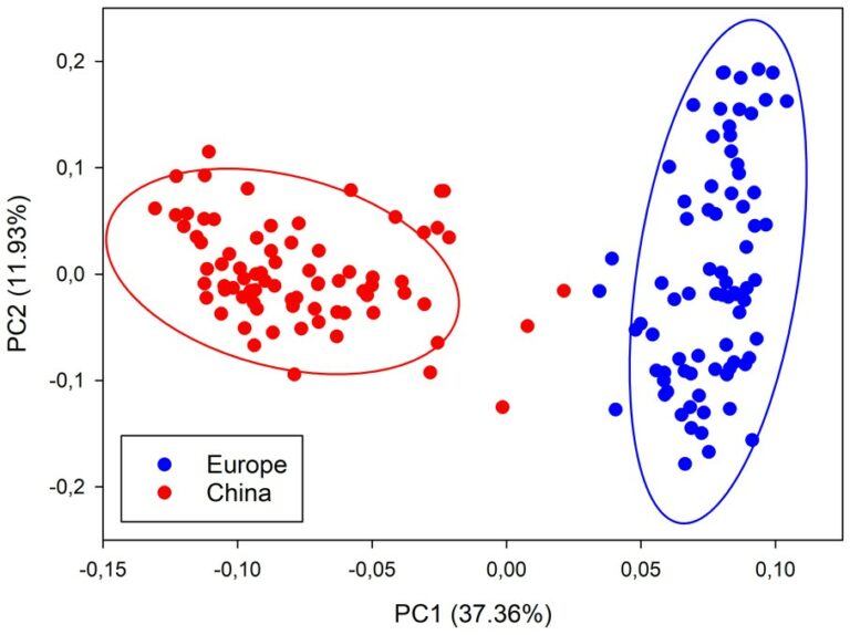Legumehub_pcaforCE-d2fb1313