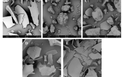 Functional properties of mildly fractionated soy protein as influenced by the processing pH