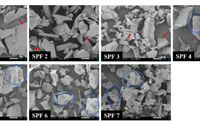 Effect of calcium enrichment on the composition, conformation, and functional properties of soy protein