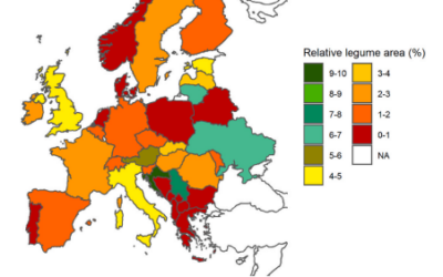 Grain legume production in Europe for food, feed and meat-substitution