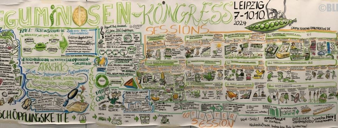 Colorful infographic detailing legume breeding strategies, sustainability goals, and protein security issues, with references to epidemiological studies and crop optimization