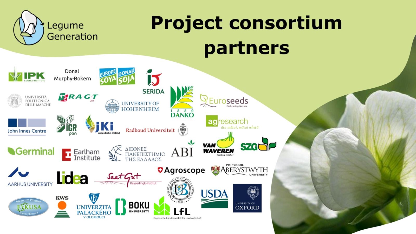 Project consortium partners of Legume Hub 2024