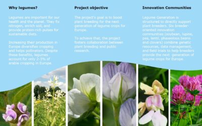 Legume Generation project overview