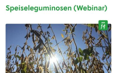 Bio Austria Webinar: Speiseleguminosen