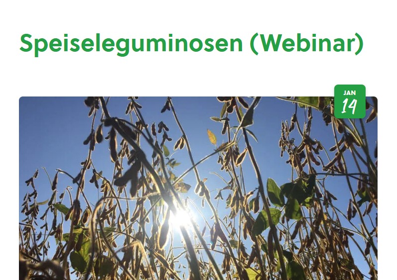 Einladung zum FEED LIVE Webinar "Schweinehaltung 2025: heimische Proteinquellen in der Fütterung – konventionell & ökologisch"