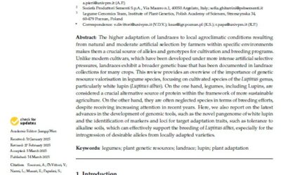 Recent Advances in Molecular Tools and Pre-Breeding Activities in White Lupin (Lupinus albus)