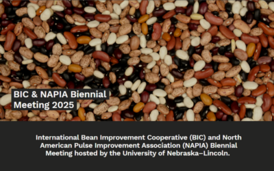 Poster presentation at the BIC & NAPIA Biennial Meeting 2025