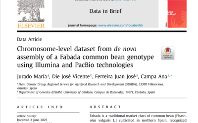 Chromosome-level dataset from de novo assembly of a Fabada common bean genotype using Illumina and PacBio technologies