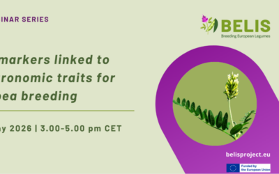 BELIS webinar series – KASP markers linked to key agronomic traits for chickpea breeding