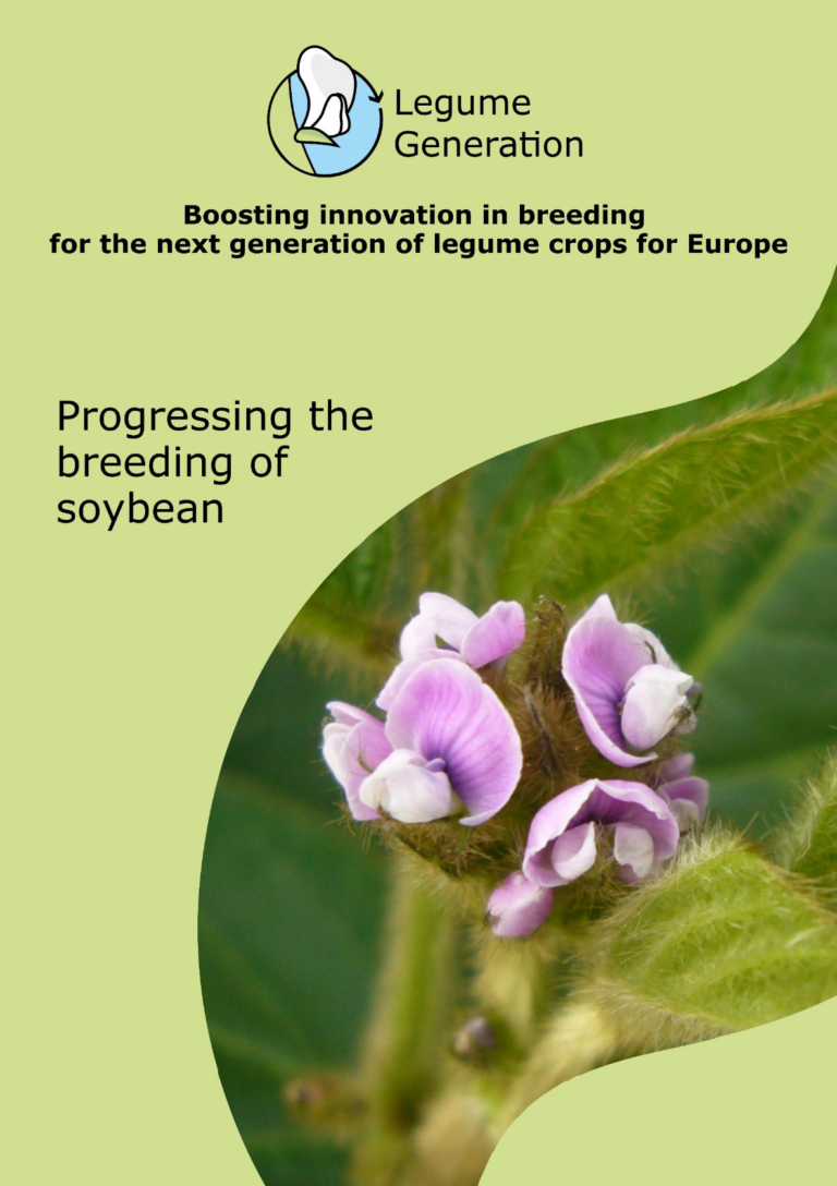Soybean | legumehub.eu