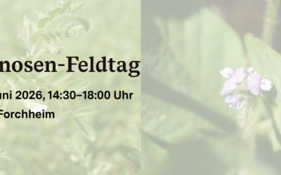 Leguminosen-Feldtag