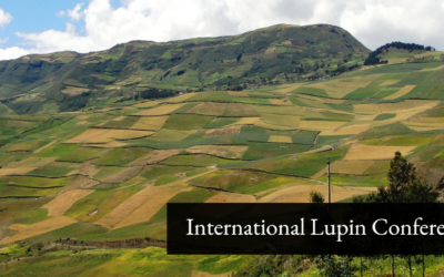 International Lupin Conference XVII