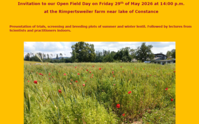 Open lentil field day
