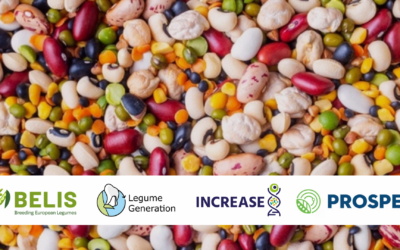 EU projects to enhance diversity, resilience and competitiveness of legumes — a satellite workshop at ILS5
