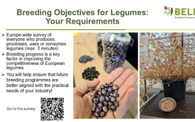 Breeding objectives for legumes: Your requirements