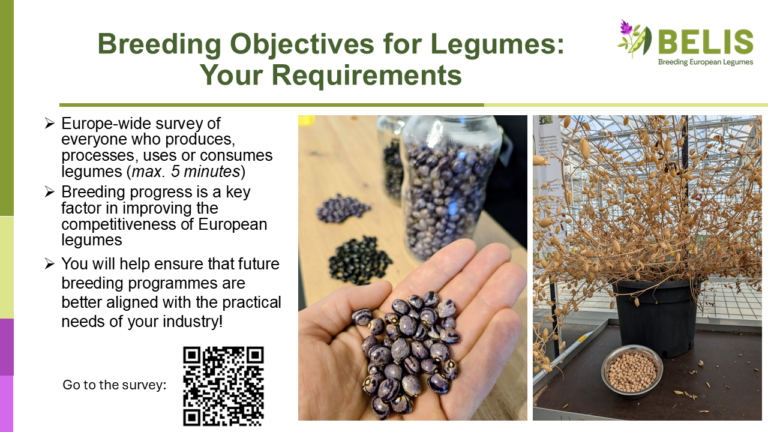 Breeding objectives for legumes: Your requirements
