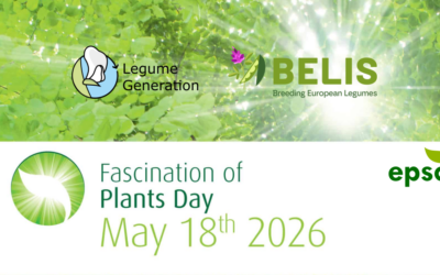 Fascination of Plants Day: Celebrating the vital role of legumes in Europe’s past and future