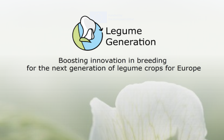 An introduction to Legume Generation