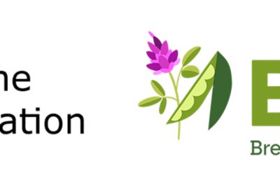 Fascination of Plants Day: Celebrating the vital role of legumes in Europe’s past and future