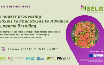 Image Processing: Pixels to Phenotypes to Advance Legume Breeding