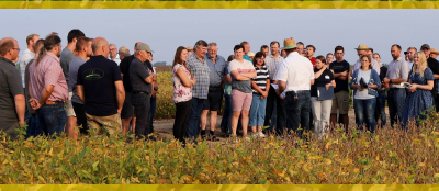 Soja-Feldtag in Bayern