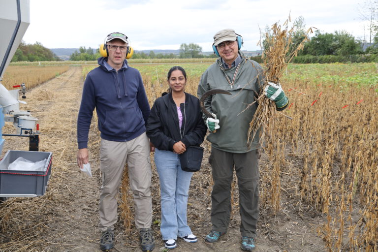 Soybean harvest at BOKU University